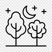 leaves, bark, branches, roots icon svg