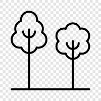 leaves, bark, branches, roots icon svg