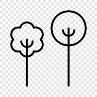 leaves, bark, branches, roots icon svg