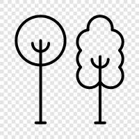 leaves, branches, bark, sap icon svg