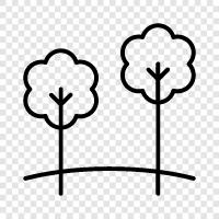 leaves, bark, trunk, branches icon svg