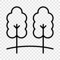 leaves, bark, trunk, branches icon svg