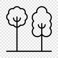 leaves, bark, branches, roots icon svg