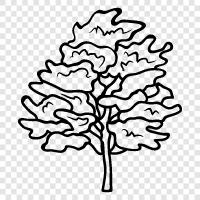 leaves, bark, branches, flowers icon svg