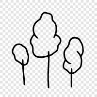 leaves, bark, branches, roots icon svg