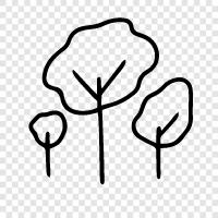 leaves, bark, trunk, branches icon svg