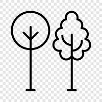 leaves, bark, branches, flowers icon svg