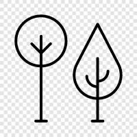 leaves, bark, branches, roots icon svg