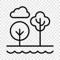 leaves, bark, trunk, branches icon svg