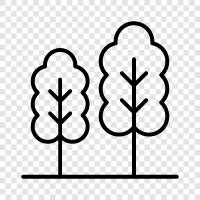 leaves, bark, branch, branchlet icon svg