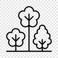 leaves, bark, branches, flowers icon svg