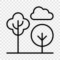 leaves, bark, roots, growth icon svg