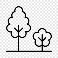 leaves, bark, branches, roots icon svg