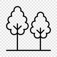 leaves, bark, branches, flowers icon svg