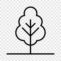 leaves, bark, trunk, branches icon svg