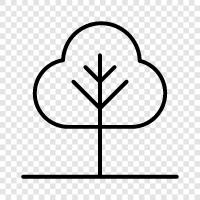 leaves, bark, branches, flowers icon svg