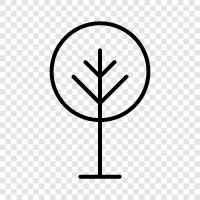 leaves, branches, trunk, roots icon svg