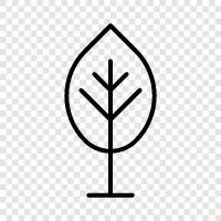 leaves, bark, needles, flowers icon svg