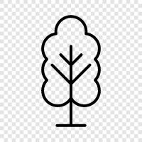 leaves, bark, branches, trunks icon svg