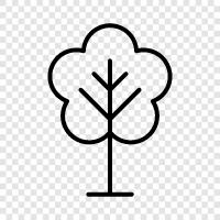 leaves, bark, branches, tree icon svg