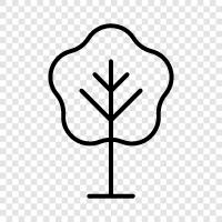 leaves, bark, branches, twigs icon svg