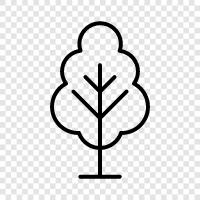 leaves, branches, bark, roots icon svg