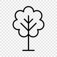 leaves, branches, bark, sap icon svg