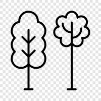 leaves, bark, branches, growth icon svg