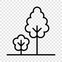 leaves, bark, branches, roots icon svg