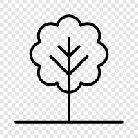 leaves, bark, branches, flowers icon svg