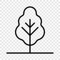 leaves, bark, needles, branches icon svg