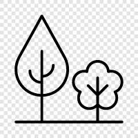 leaves, bark, branches, sap icon svg