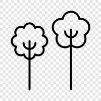 leaves, branches, bark, flowers icon svg