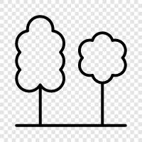 leaves, bark, branches, flowers icon svg