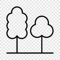 leaves, bark, branches, trunk icon svg