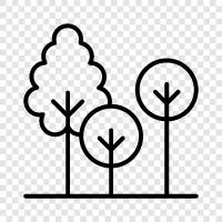 leaves, bark, branches, trunk icon svg