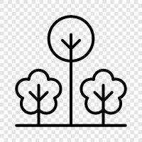 leaves, bark, flowers, fruit icon svg