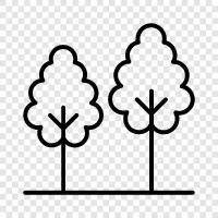 leaves, bark, roots, branches icon svg