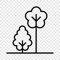 leaves, needles, bark, trunk icon svg