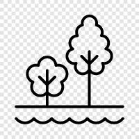 leaves, bark, branches, roots icon svg