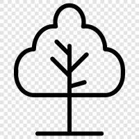 leaves, buds, flowers, trunk icon svg