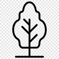 leaves, bark, branches, trunk icon svg