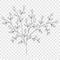 leaves, branches, trunk, roots icon svg