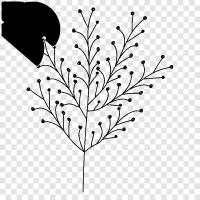 leaves, bark, branches, needles icon svg