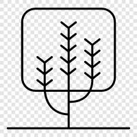 leaves, bark, trunk, branches icon svg