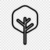 leaves, bark, trunk, branch icon svg