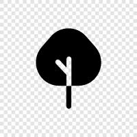 leaves, trunk, branches, bark icon svg