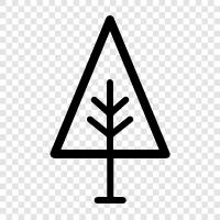 leaves, bark, branches, twigs icon svg