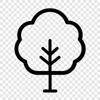 leaves, bark, trunk, flowers icon svg