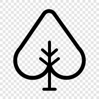 leaves, bark, branches, roots icon svg